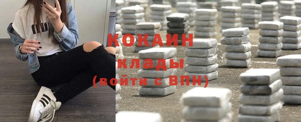 мяу мяу мука Елизово