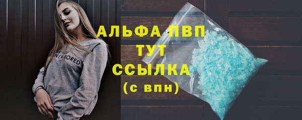 трава Ельня