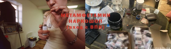 трава Ельня