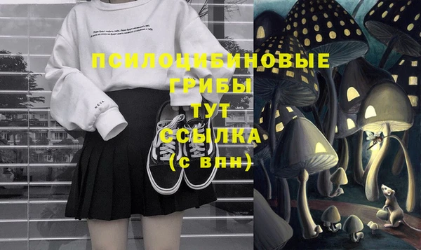мяу мяу мука Елизово