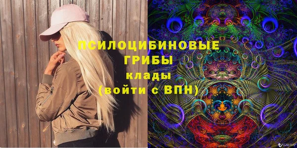 трава Ельня