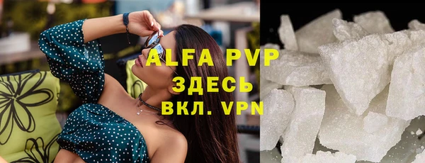 трава Ельня