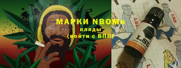 трава Ельня
