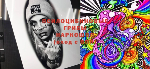 мяу мяу мука Елизово