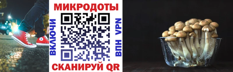 Псилоцибиновые грибы MAGIC MUSHROOMS  Купить  Шимановск 